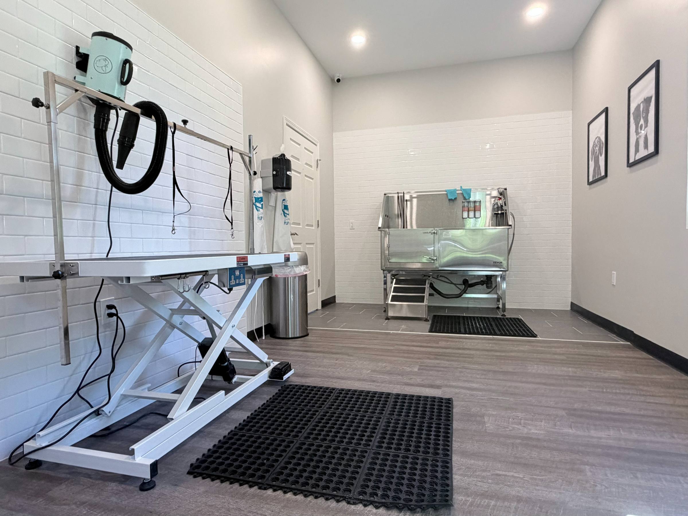 Modern pet grooming room with a grooming table, stainless steel tub, and pet portraits on the wall.